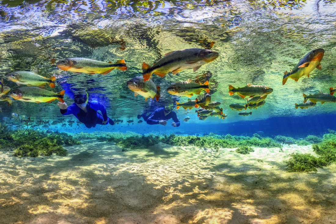 Gruto do Lago Azul é um atrativo turístico famoso em Bonito