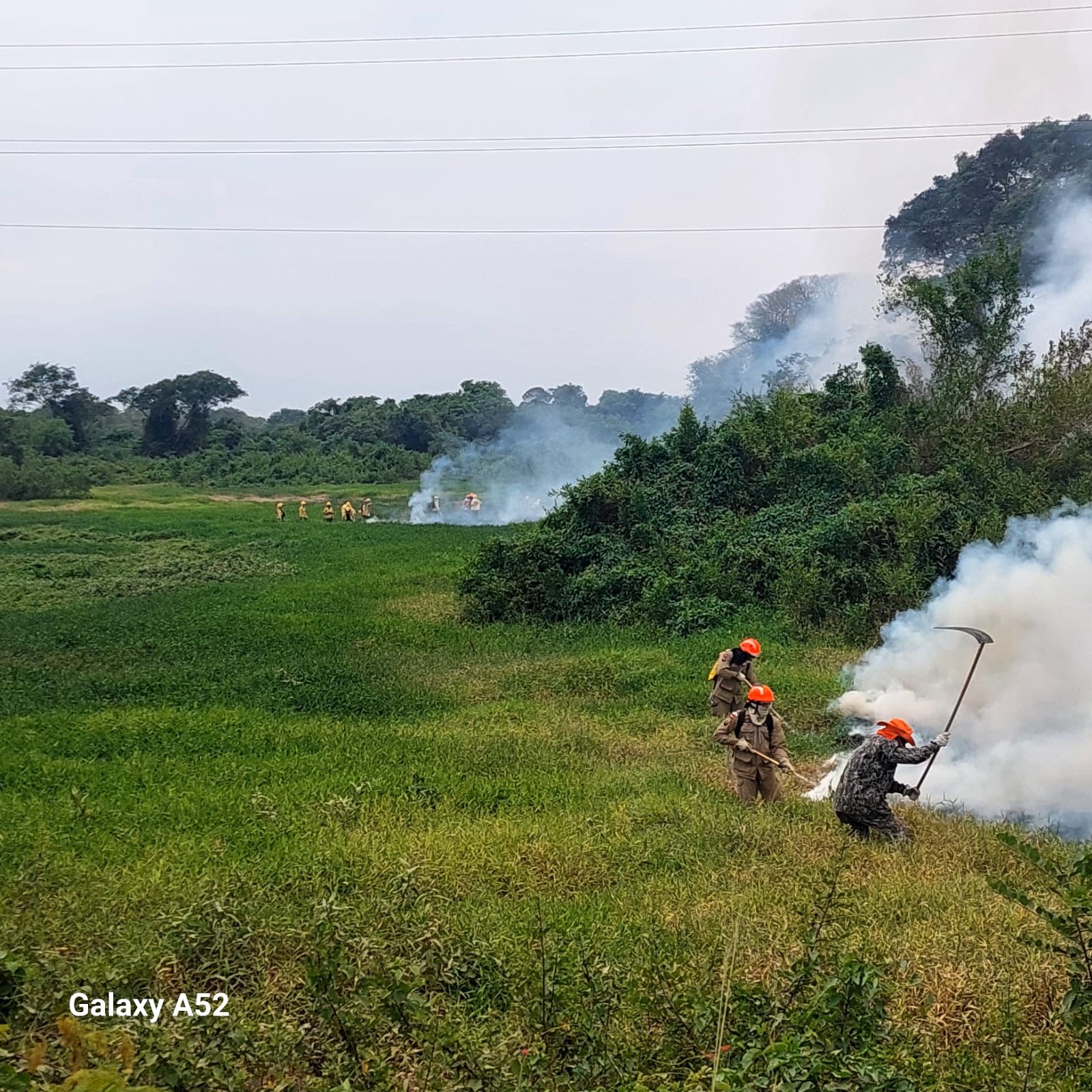 Vegetação toma conta de uma série de postes da rede de energia ao longo da Estrada Parque, próximo ao Passo do Lontra