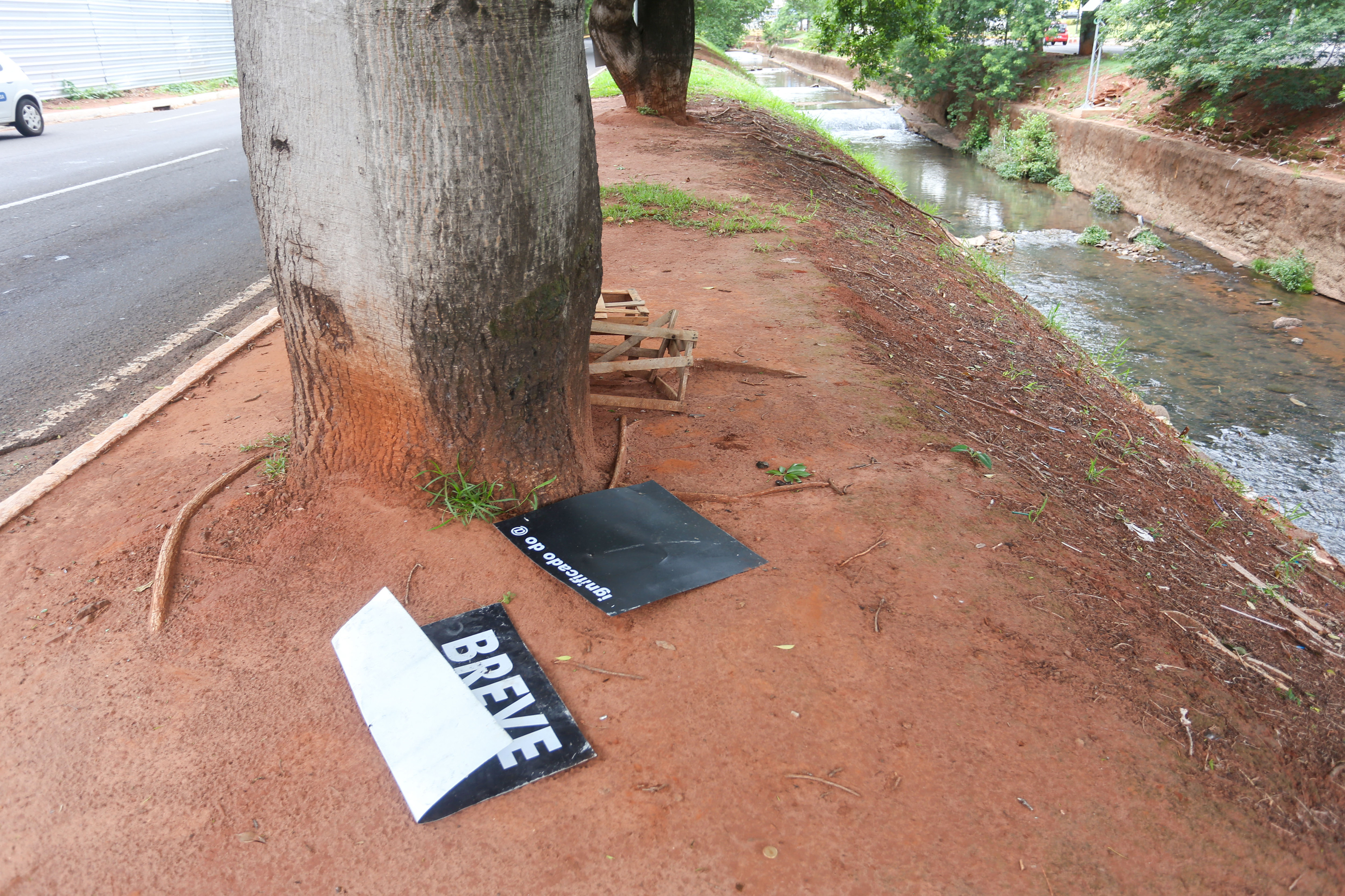 Placa pendurada em árvore na avenida Ricardo Brandão