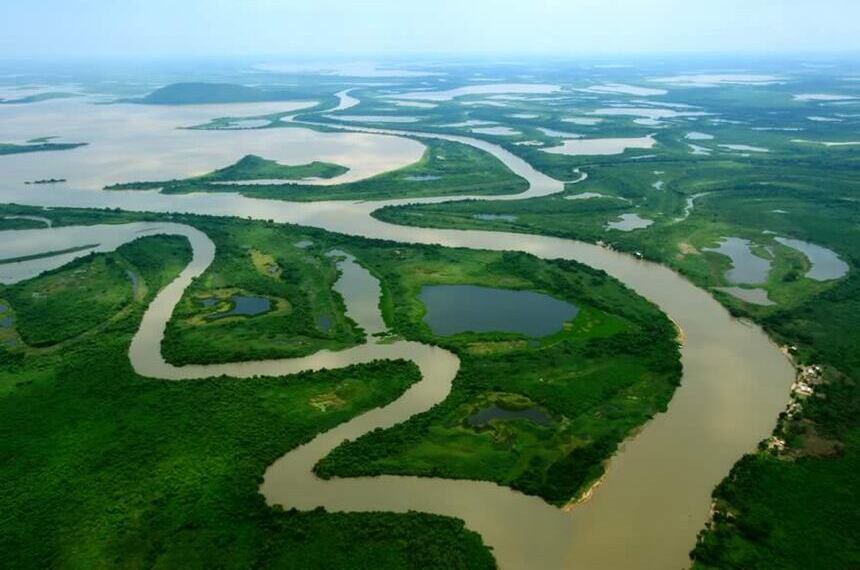 Pantanal é a maior planície alagada do Planeta e 65% da área está em MS