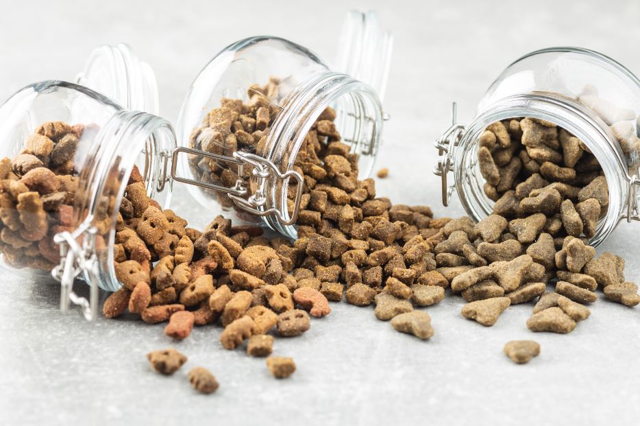 Pet B+: Você sabe como guardar a ração do seu pet de forma correta? Aprenda como