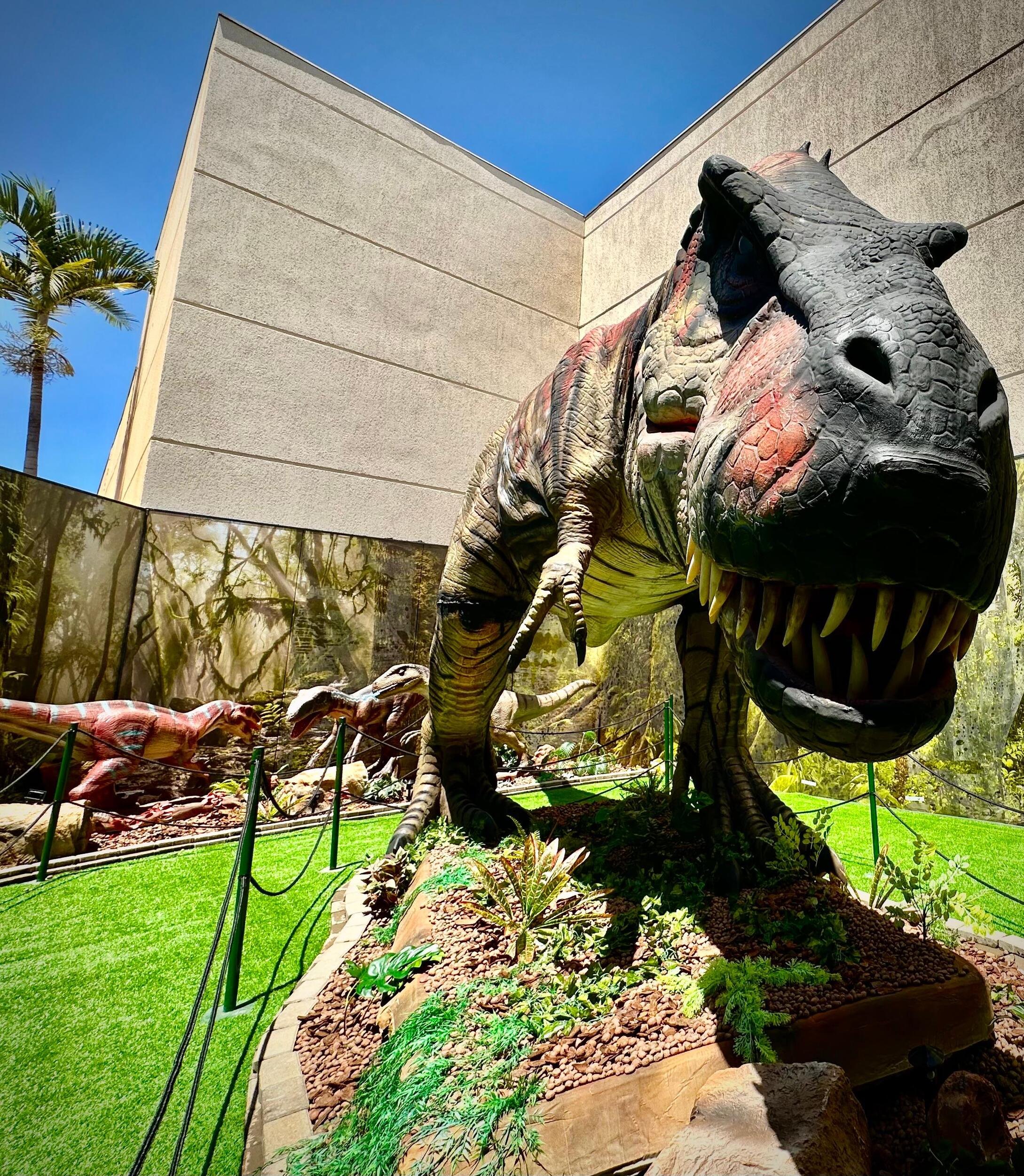 T-Rex Tour traz uma exposi&ccedil;&atilde;o imersiva com dinossauros animatr&ocirc;nicos