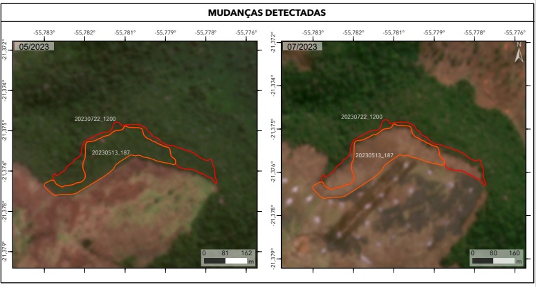 &Aacute;rea de 6,5 hectares foi desmatada sem autoriza&ccedil;&atilde;o
