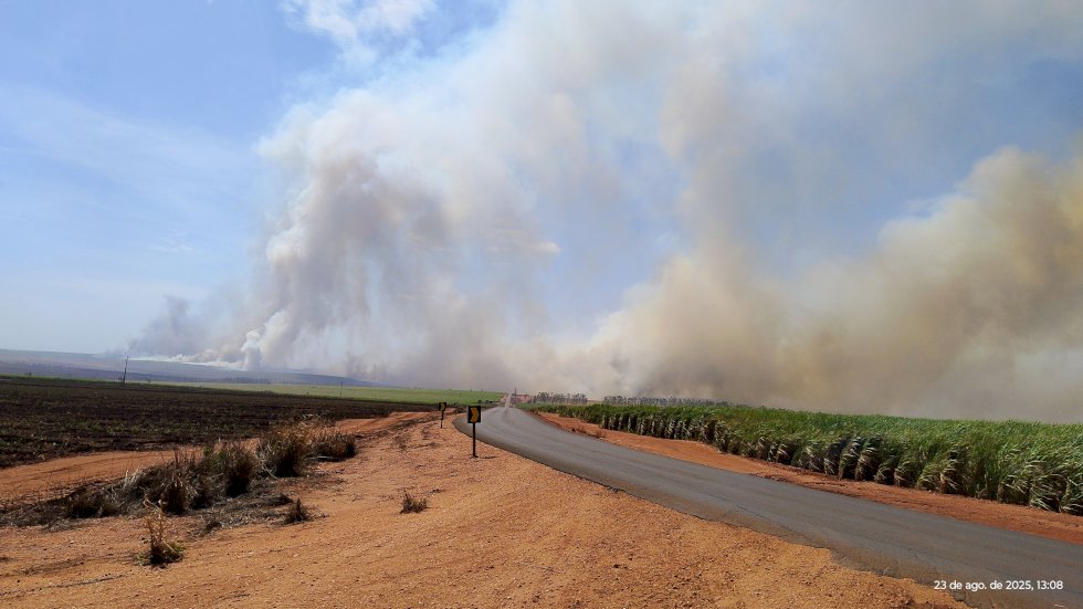 Usina leva multa de R$ 4,8 milhões por incêndio em canavial - Correio do Estado