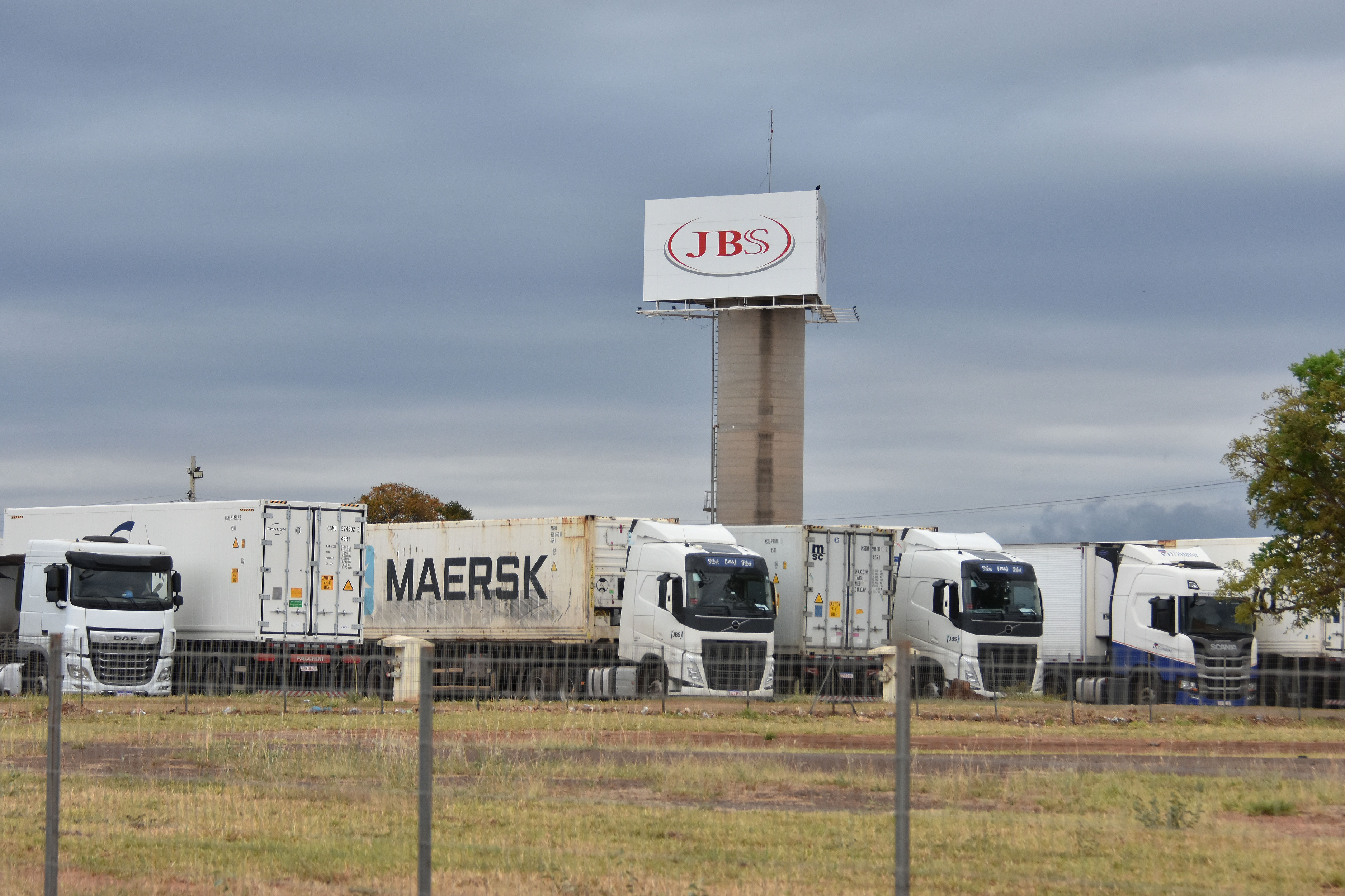 Em relação ao volume financeiro, as exportações de carne bovina aumentaram 51,1% no comparativo com todo o ano de 2024, com a venda de US$ 1,7 bilhão a outros países