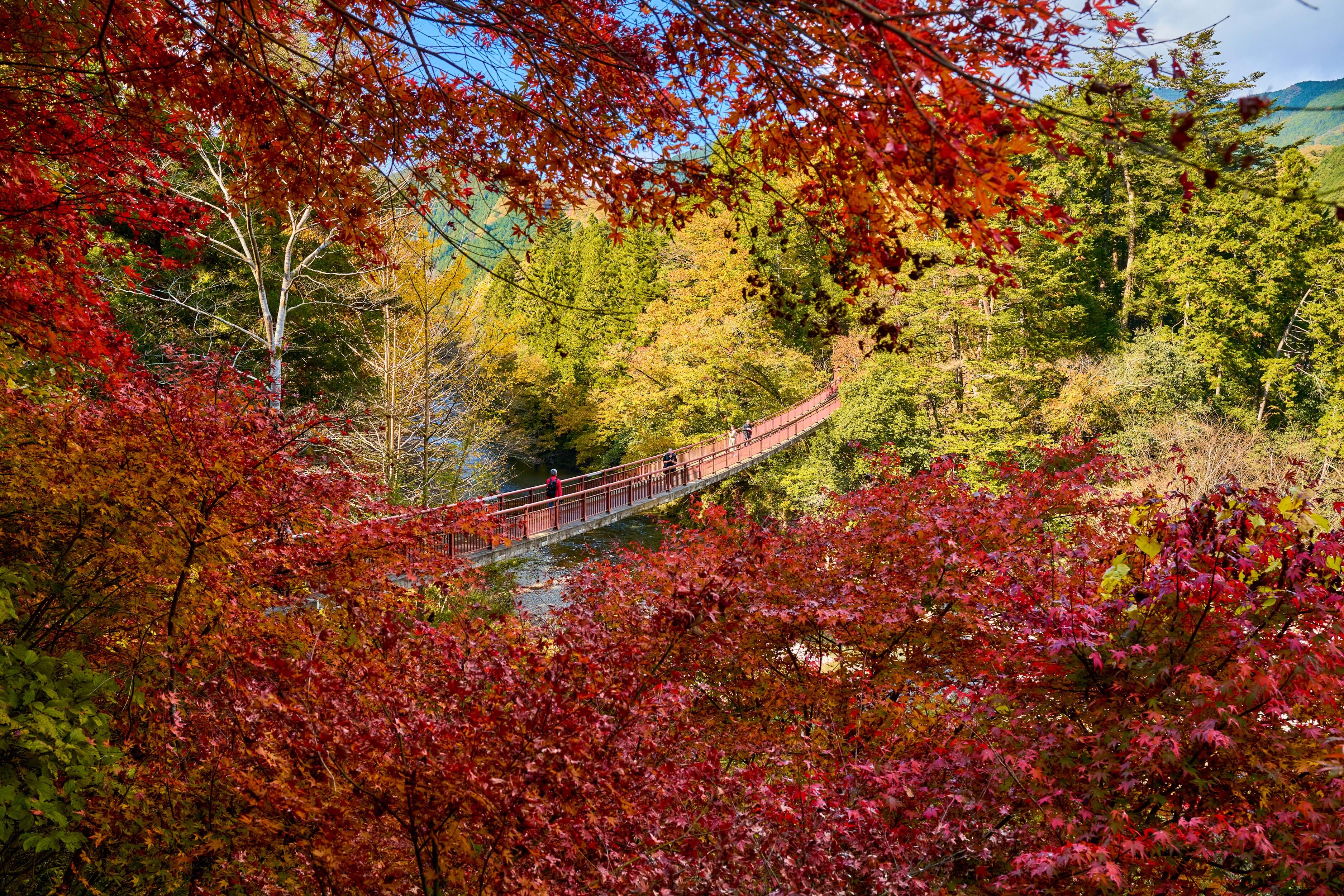 Vale Akigawa, em T&oacute;quio, no Jap&atilde;o