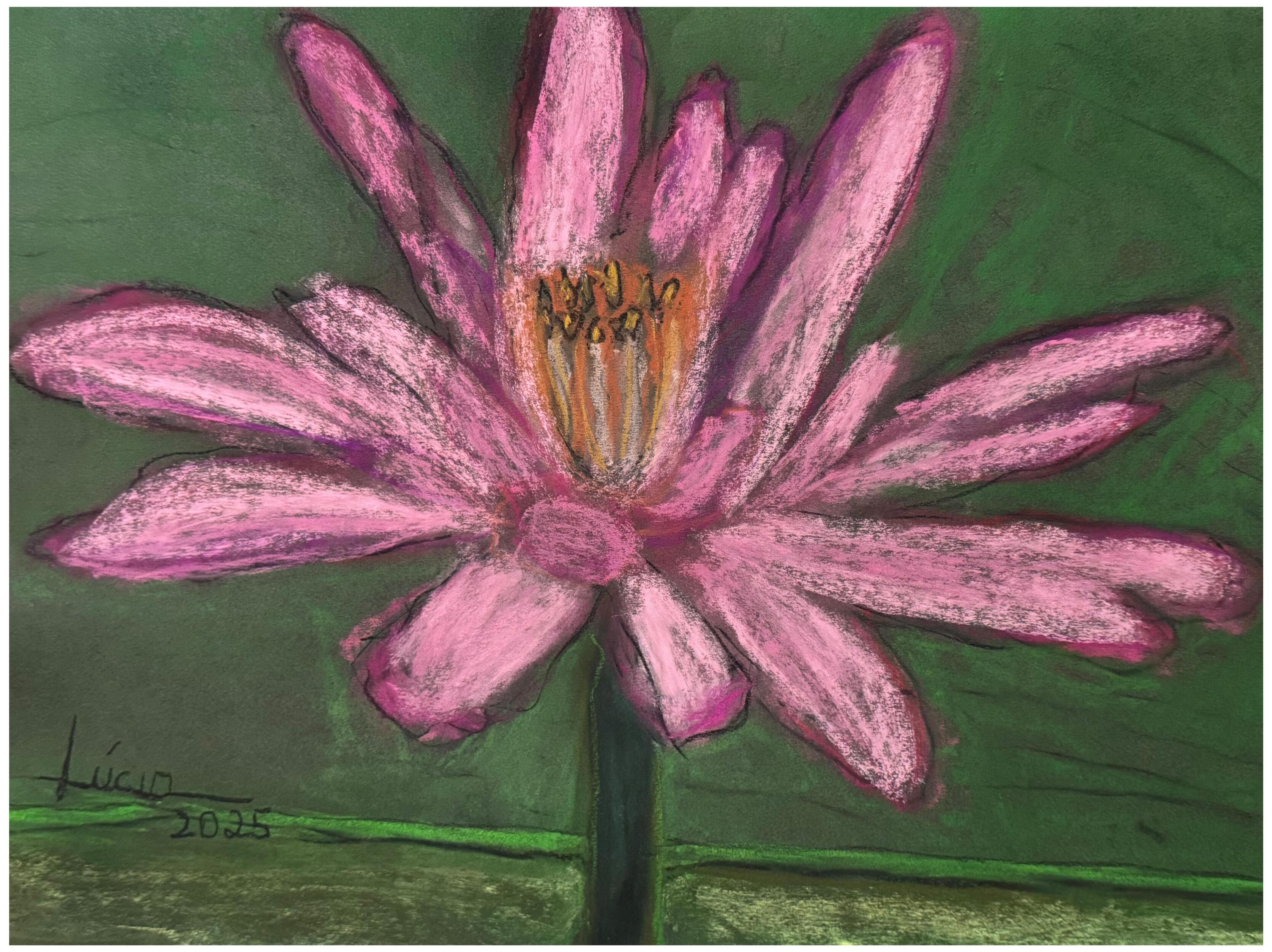 A artista com suas obras durante inaugura&ccedil;&atilde;o da mostra no dia 3 deste m&ecirc;s