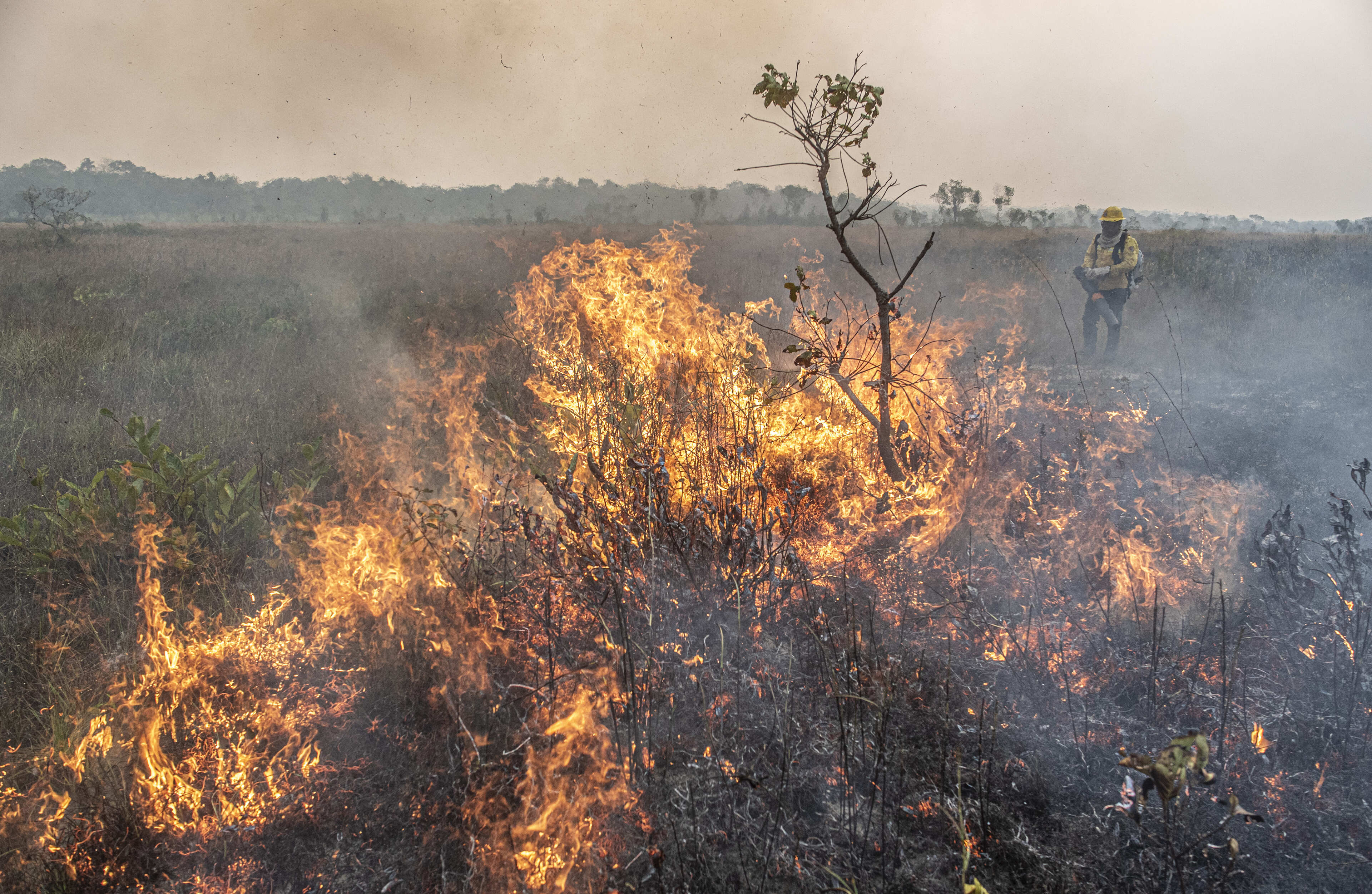 No Pantanal e na Amaz&ocirc;nia, estiagem e inc&ecirc;ndios florestais foram graves problemas e fiscaliza&ccedil;&atilde;o identificou falha do governo federal