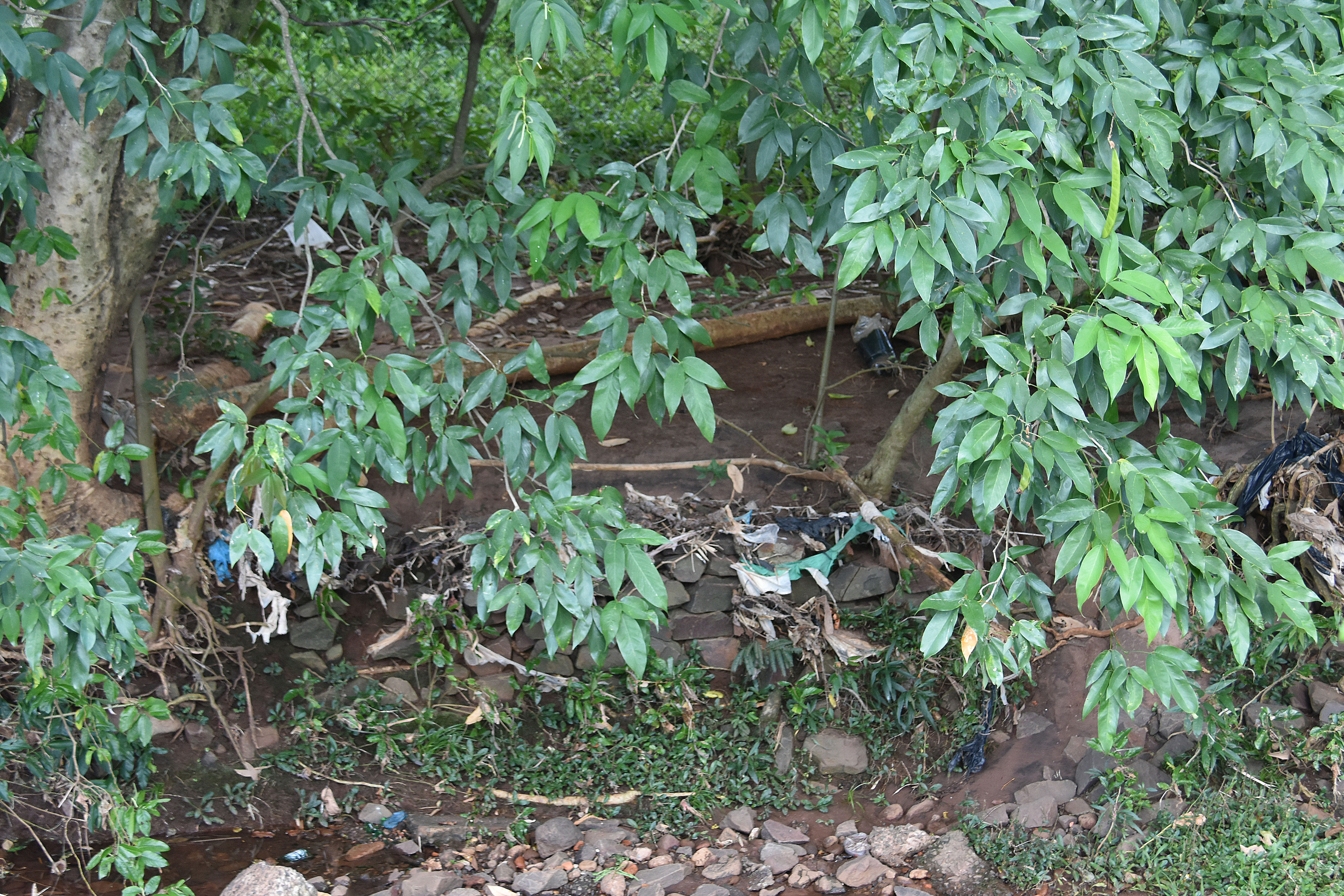 O cad&aacute;ver estava pr&oacute;ximo ao C&oacute;rrego S&oacute;ter, dentro do Parque das Na&ccedil;&otilde;es Ind&iacute;genas