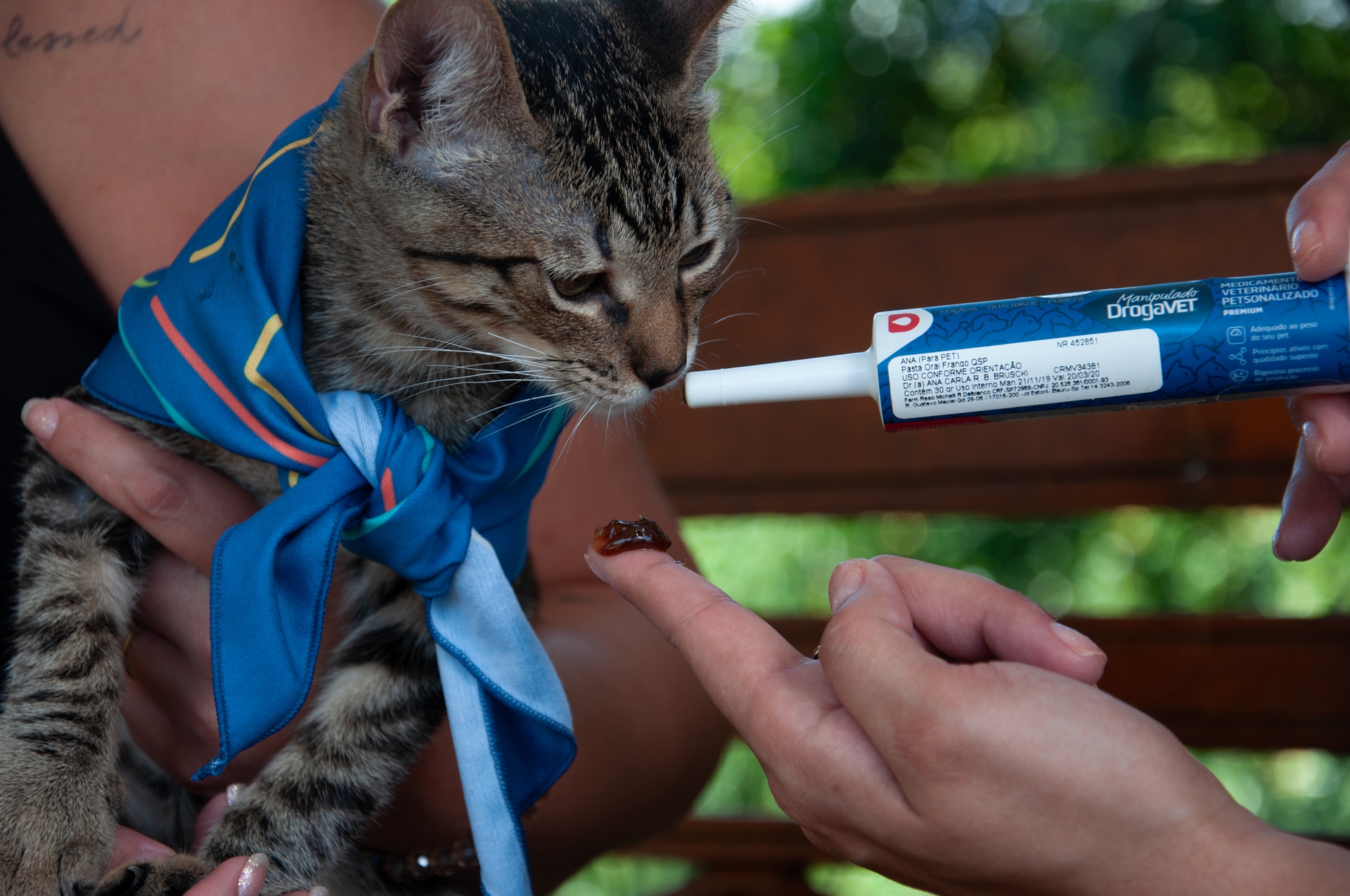 A manipula&ccedil;&atilde;o veterin&aacute;ria permite a personaliza&ccedil;&atilde;o dos tratamentos de acordo com o paciente