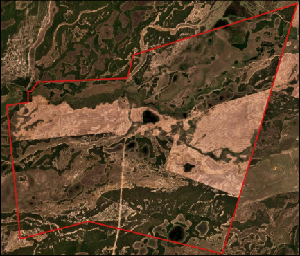 &Aacute;rea declarada referente a fazenda Dom Bosco