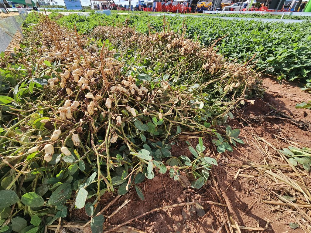 Projeto de nova ind&uacute;stria foi apresentado em reuni&atilde;o nesta sexta-feira