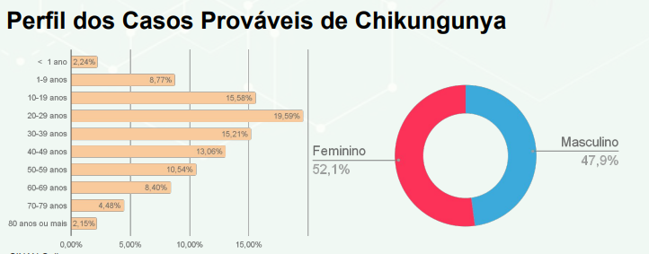 Mosquito Aedes Aegypti