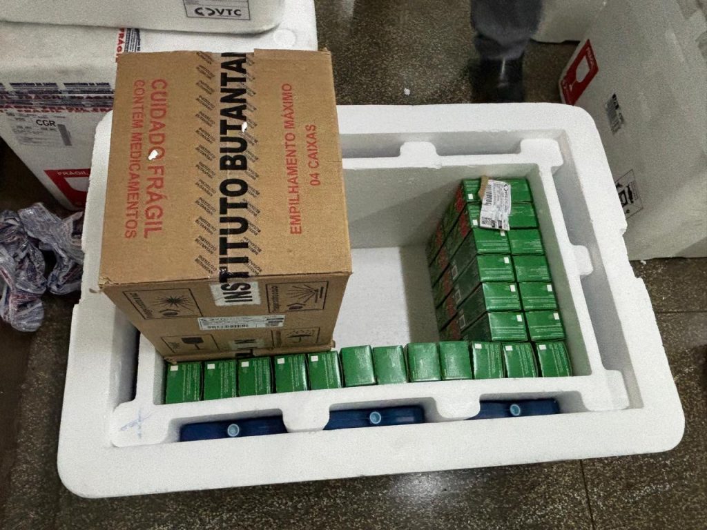 Doses da vacina chegaram &agrave; Secretaria de Sa&uacute;de na &uacute;ltima segunda-feira