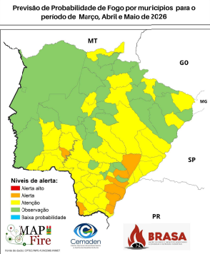 Inc&ecirc;ndios no Pantanal 