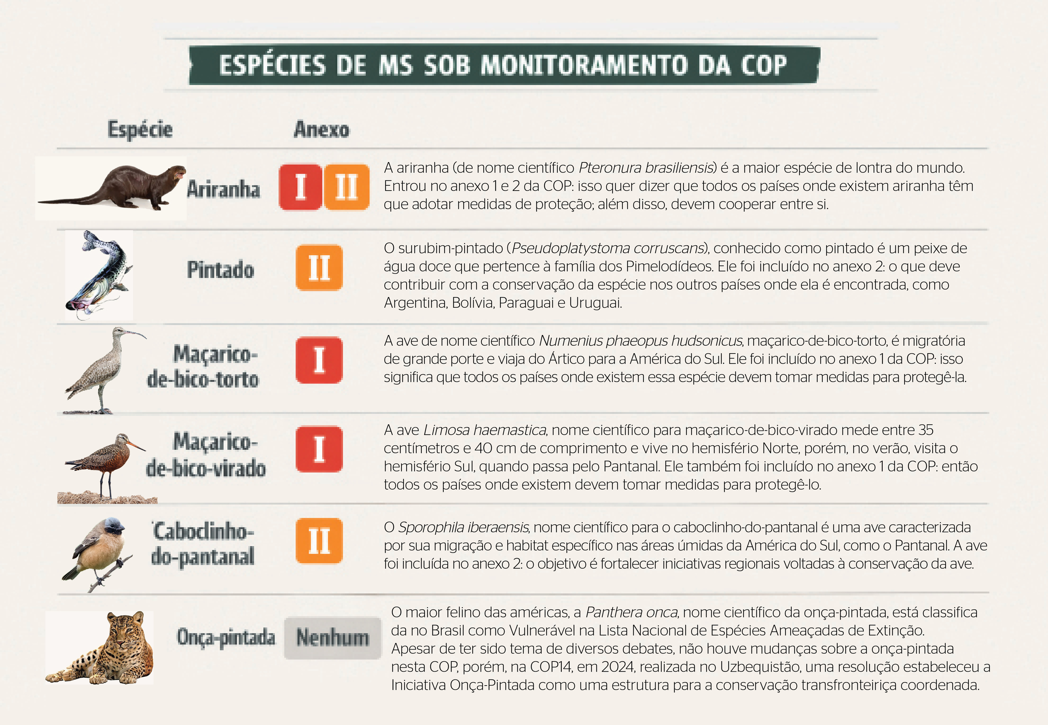 Presidente da COP15, João Capobianco, esteve no Correio do Estado