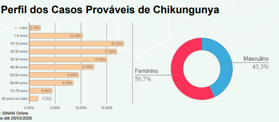 Mosquito Aedes Aegypti - ARQUIVO/CORREIO DO ESTADO