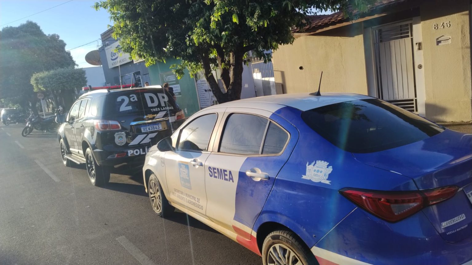 Casa e animais estavam infestados de carrapatos