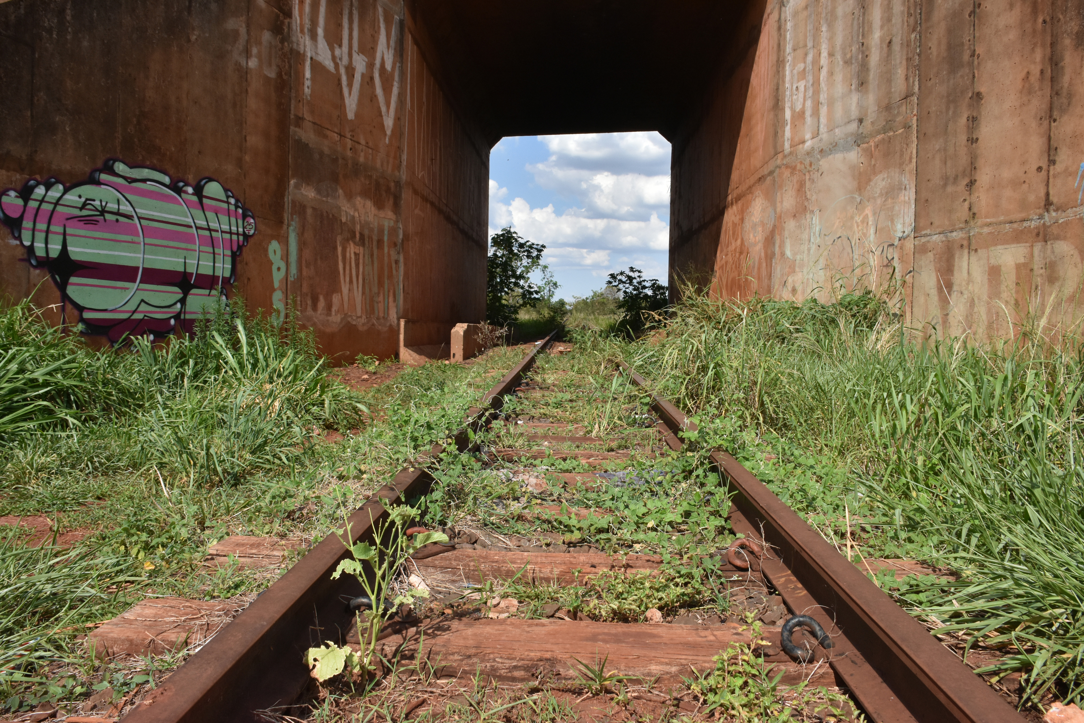 A revitaliza&ccedil;&atilde;o da ferrovia Malha Oeste &eacute; uma demanda antiga de MS