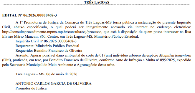 Oiti &eacute; esp&eacute;cie comum em regi&otilde;es metropolitanas