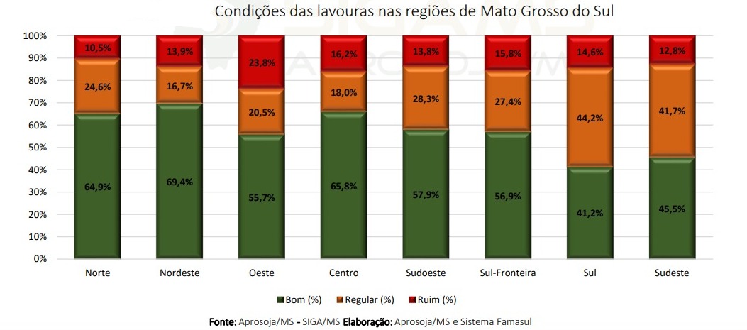 Mais da metade (72,7%) das lavouras de milho avaliadas como "boas" e pouco mais de dez por cento (10,4%) como "ruins".&nbsp;