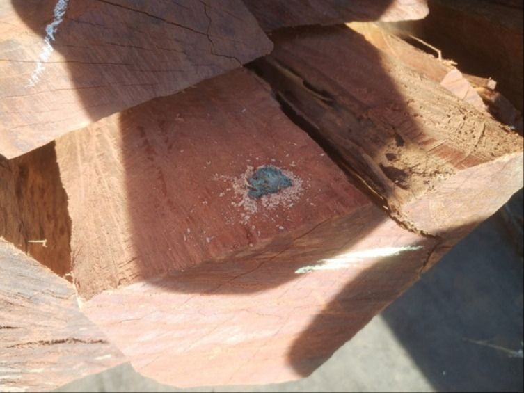 Coca&iacute;na estava escondida em carga de madeira, distribu&iacute;da em oito caminh&otilde;es