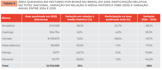 Fumaça de queimadas encobriu Corumbá