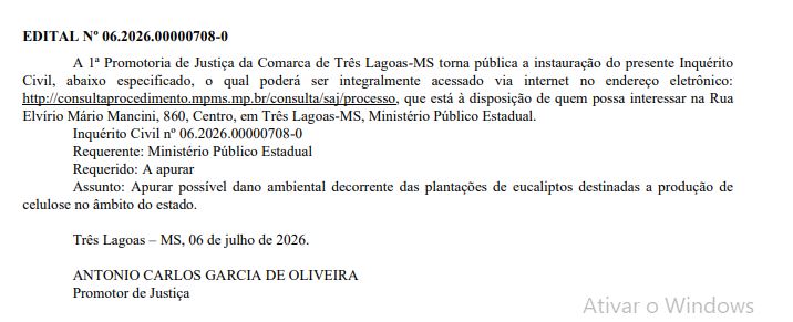 Planta&ccedil;&atilde;o de eucalipto