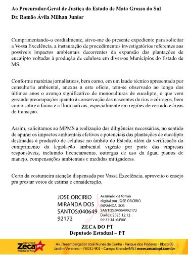 Planta&ccedil;&atilde;o de eucalipto