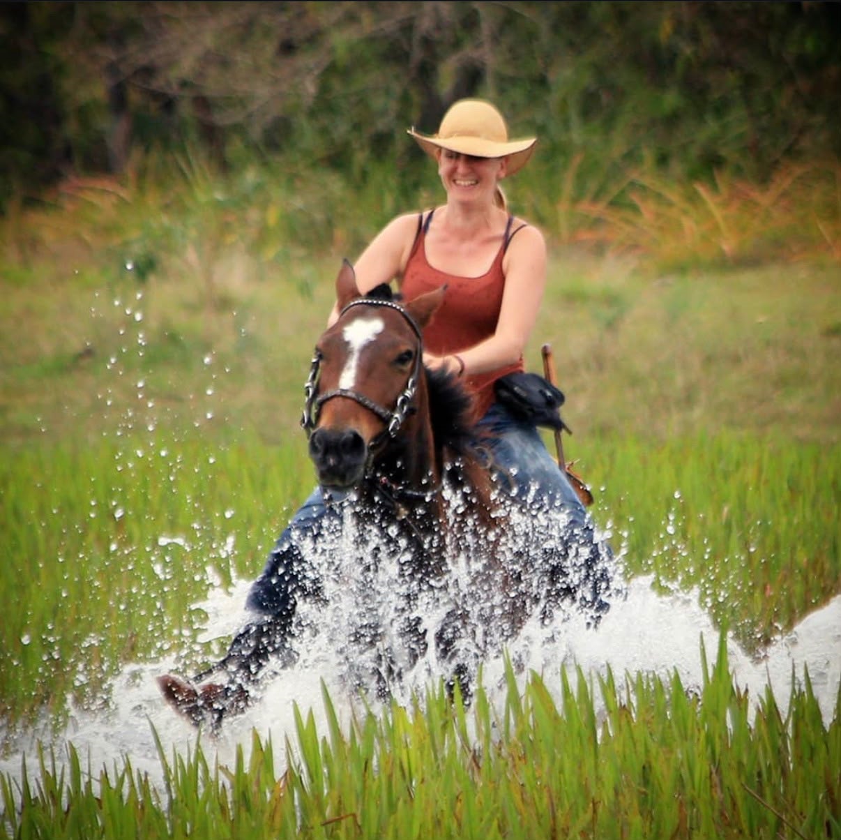 Lydia Theresia M&ouml;cklinghoff passou temporada no Pantanal para pesquisar tamandu&aacute;s