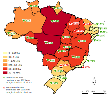Fumaça de queimadas encobriu Corumbá
