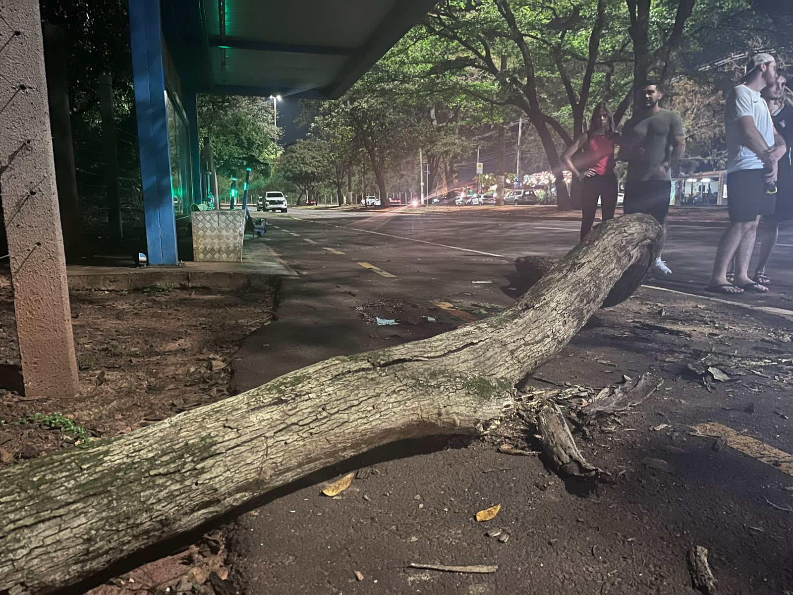 Parte do tronco da &aacute;rvore atingiu v&iacute;tima que passeava de patinete