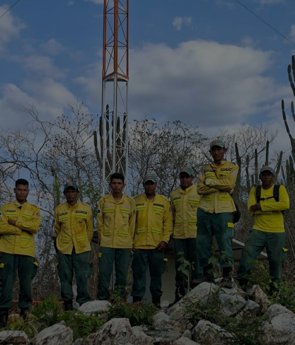 Lan&ccedil;amento do South America Fire Fund re&uacute;ne organiza&ccedil;&otilde;es que atuar&atilde;o na preven&ccedil;&atilde;o de inc&ecirc;ndios florestais na Am&eacute;rica do Sul.