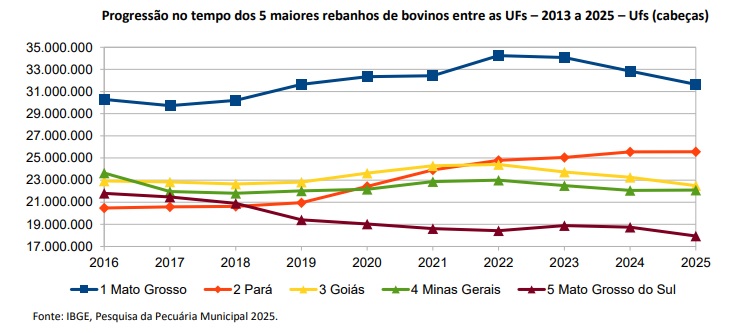 Rebanho de MS diminuiu 4,3%, mas continua sendo o quinto maior do Brasil