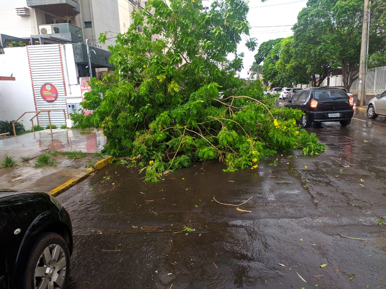 Chuva com muitos raios na noite de segunda para terça-feira assusta  moradores e derruba árvores